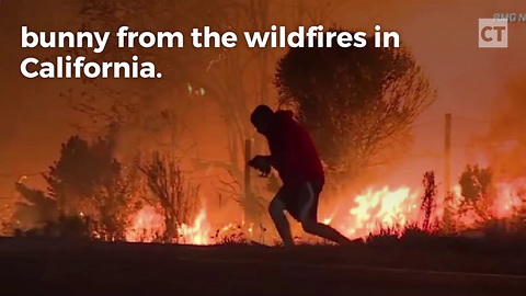 Liberals Hate Man Who Saved Rabbit From Fire