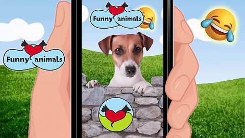 funny pets 🤣. https://www.bribooks.com/bookstore/space-explorations-6579c43948bbc
