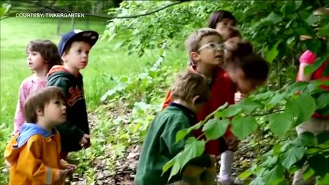 Tinkergarten turns parks into classrooms