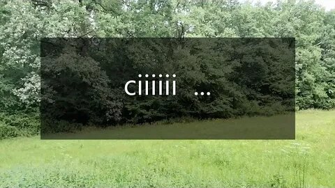 ciiii ...