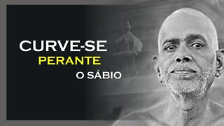 CURVE SE PERANTE O SÁBIO, RAMANA MAHARSHI DUBLADO, MOTIVAÇÃO MESTRE