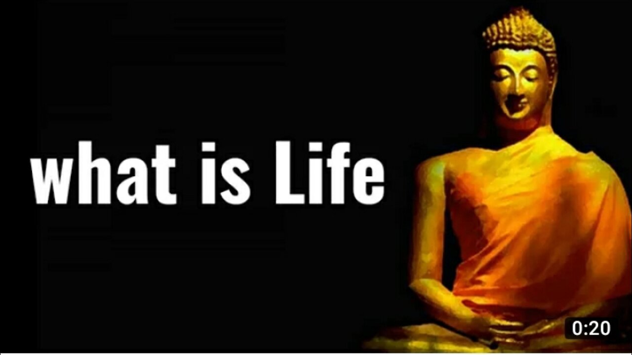 What is Life | Budha Motivation