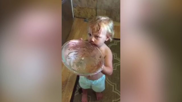 A Tot Girl Cleans The Bottom Of A Large Bowl Of Pudding