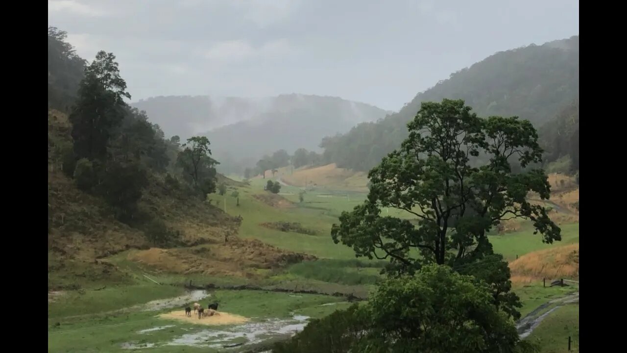 Review of the paddock after a downpour. You can see where the water pools.
