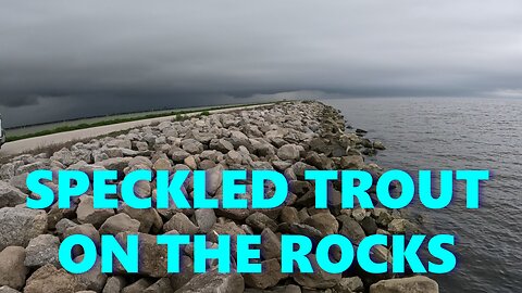 Trout MixTape (Speckled Trout Fishing - Texas)