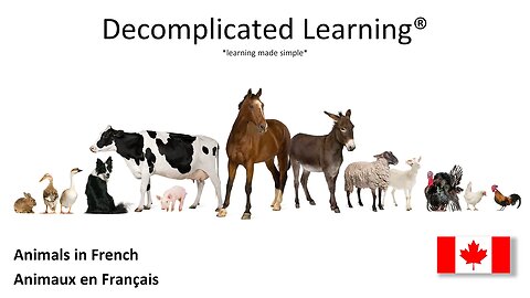 Learn Animals In French