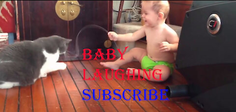 Baby laughing cat or babies laughing videos