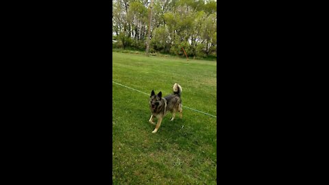 BudRicky playing catch