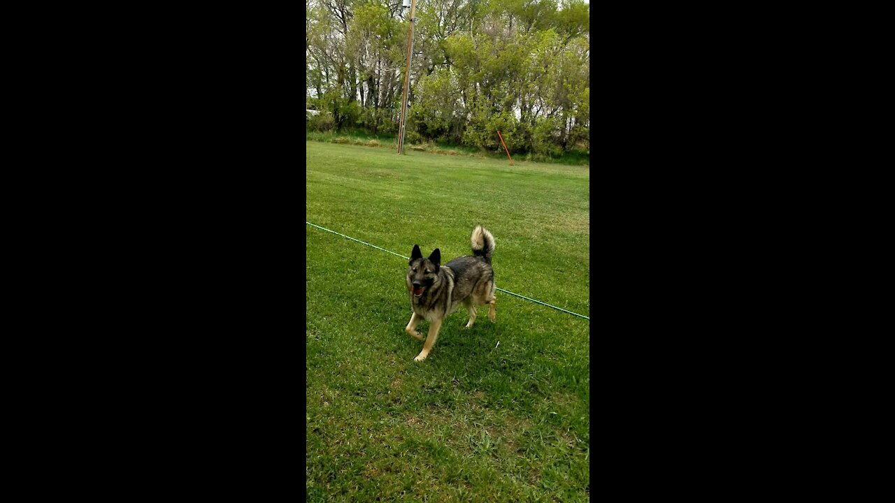 BudRicky playing catch