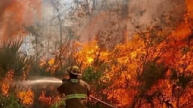 County-line brush fire in Martin, St. Lucie County forces some homeowners to evacuate