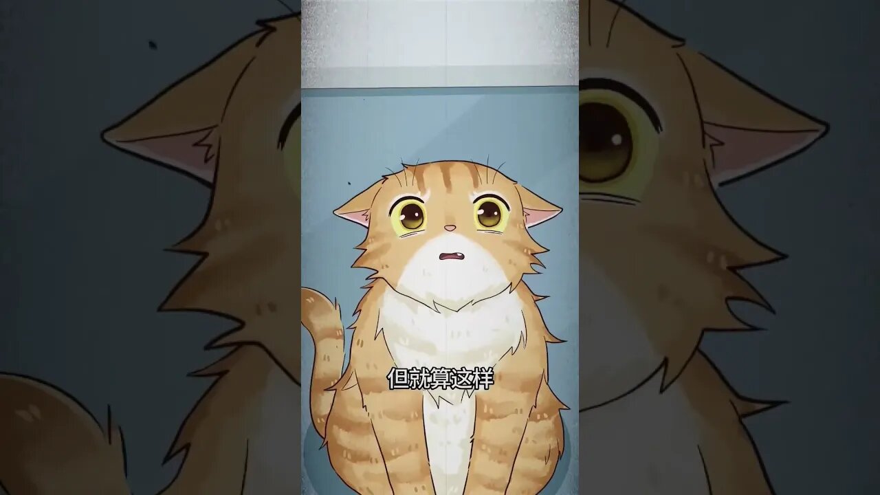 kucing yg memohon untuk hidup kembali #shorts