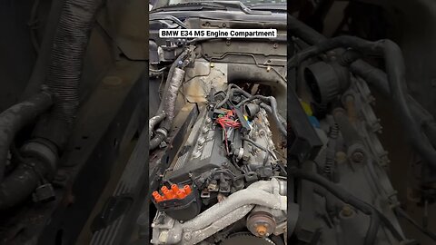 BMW E34 M5 Engine Compartment #shorts #bmw #cars #bmwm5 #bmwe34 #automotive #restoration #engine