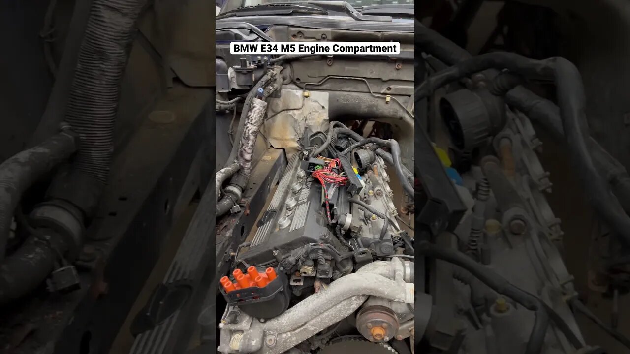 BMW E34 M5 Engine Compartment #shorts #bmw #cars #bmwm5 #bmwe34 #automotive #restoration #engine
