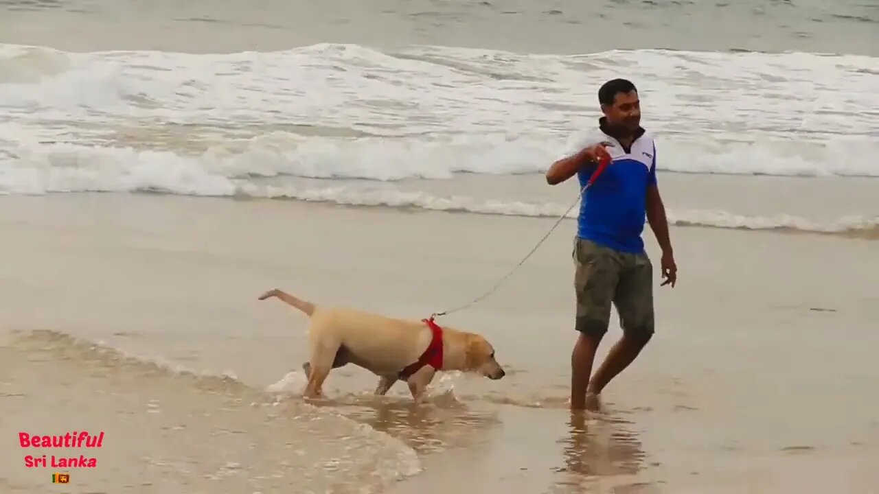 Beautiful Sri Lanka Beach - 1