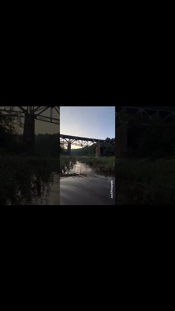 Daily Inspirational Quotes