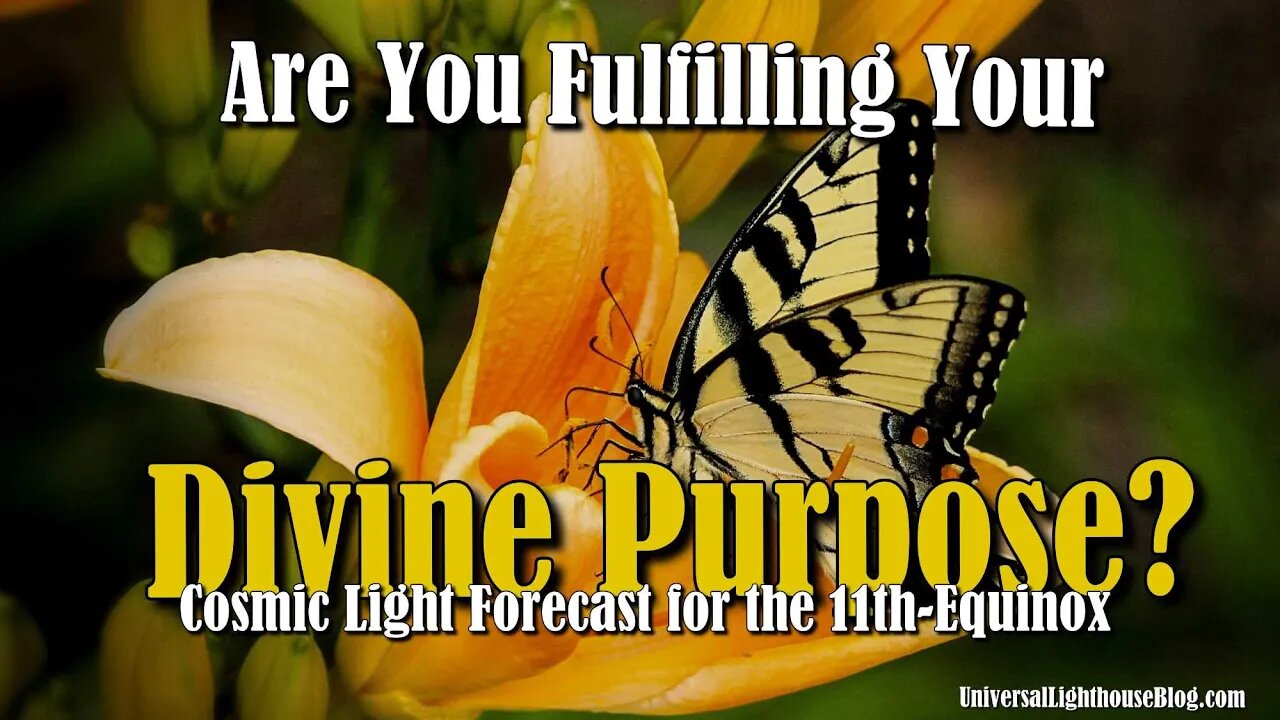 Are You Fulfilling Your Divine Purpose? ~ Cosmic Light Forecast for the 11th Equinox