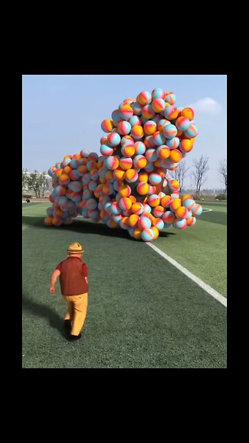 Dogs have funny with a balloon’s