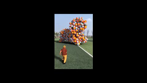 Dogs have funny with a balloon’s