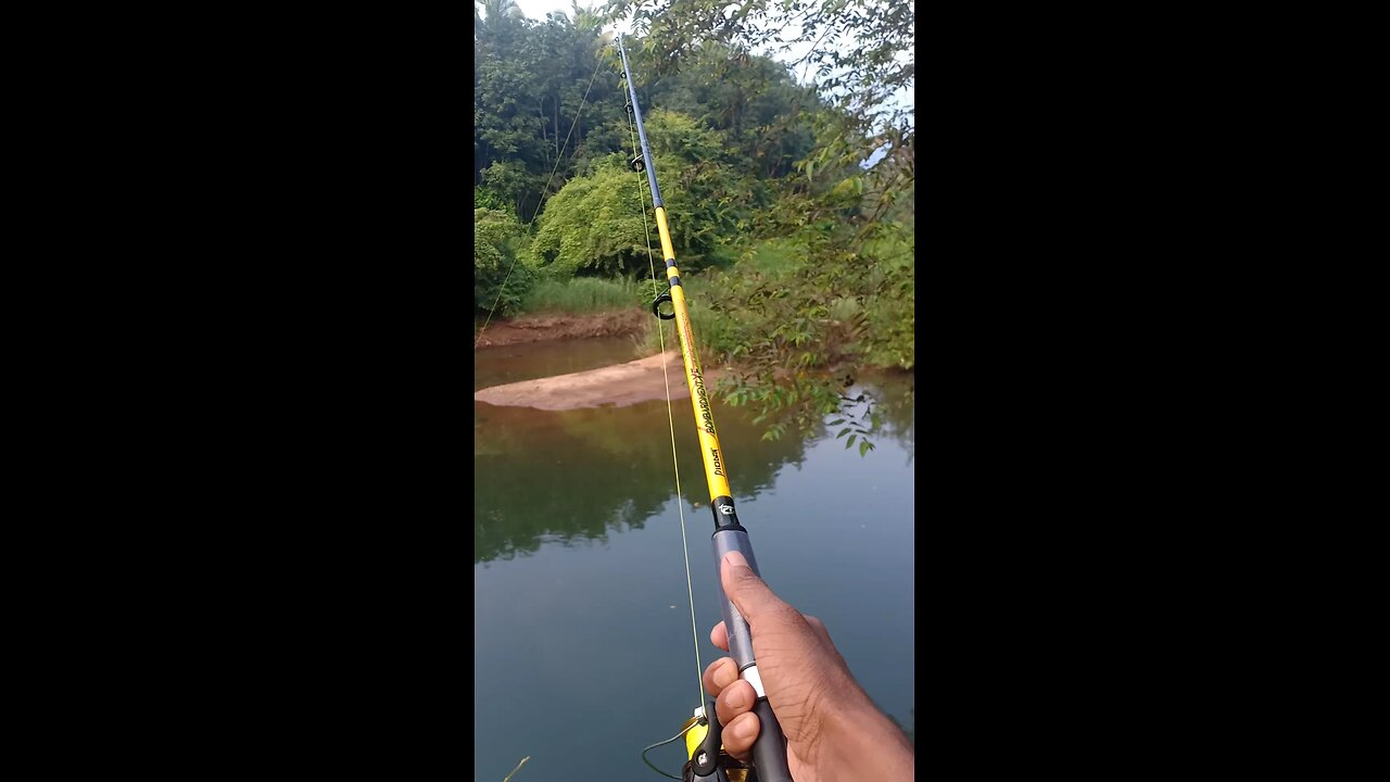 fishing