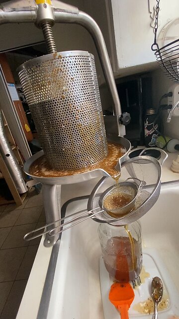 Bee tree summary and the Honey press