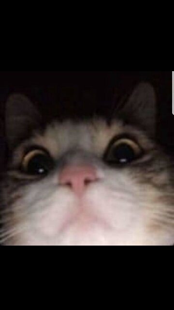 The best technique when you get your first name wrong