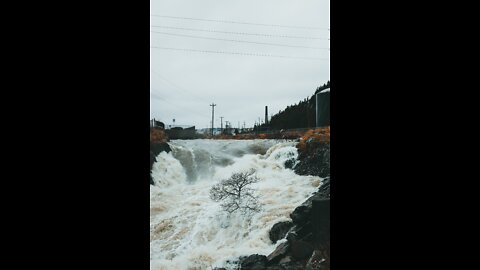 tsunami destroys japan