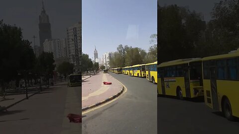 Yellow Indian Buses: for Hujjaj