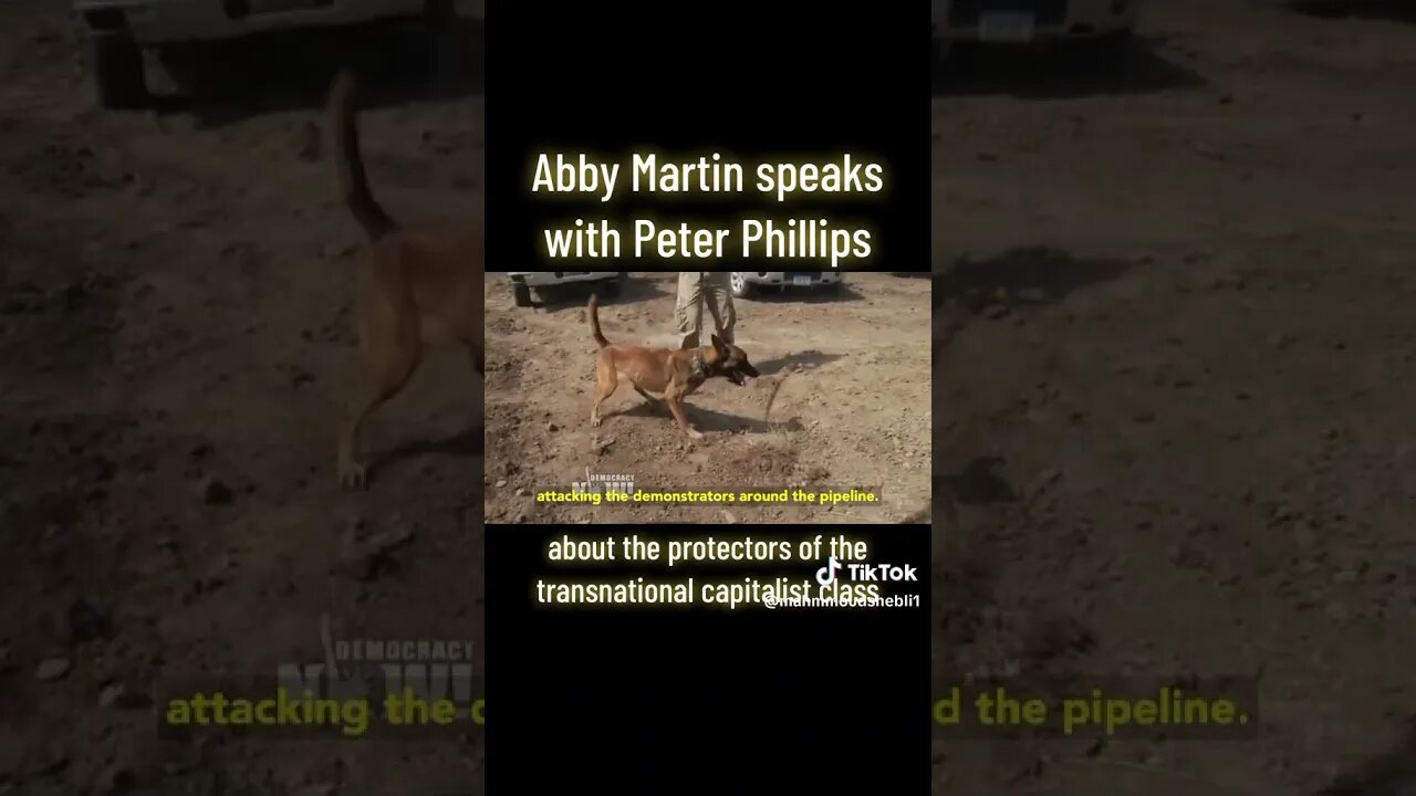 Who Are The #Protectors? #transnational #Capitalist #profiteering