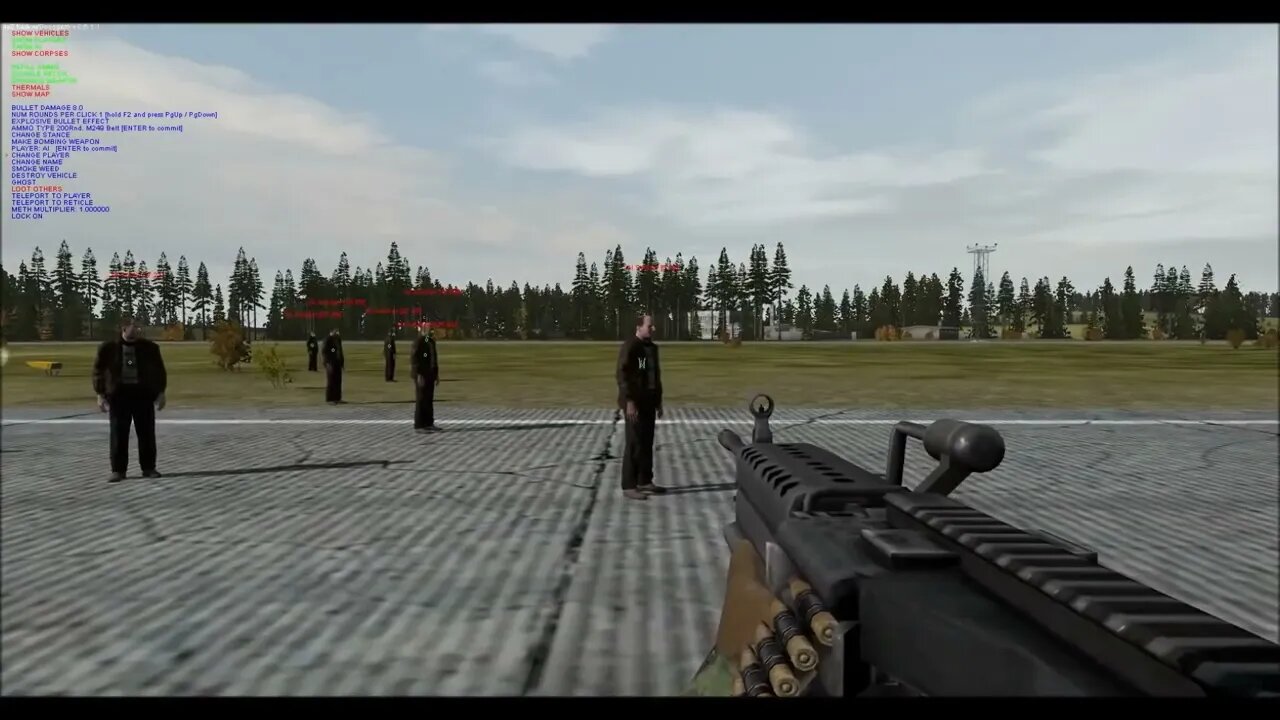 2013 08 27 Arma 2 DayZ aimbot