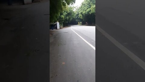 INICIO DO TUNEL DE BAMBU EM MORUNGABA SÃO PAULO BRASIL