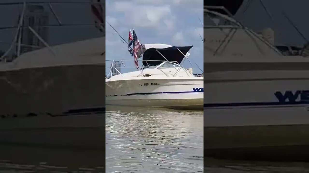 is this WHY you get a boat? lol