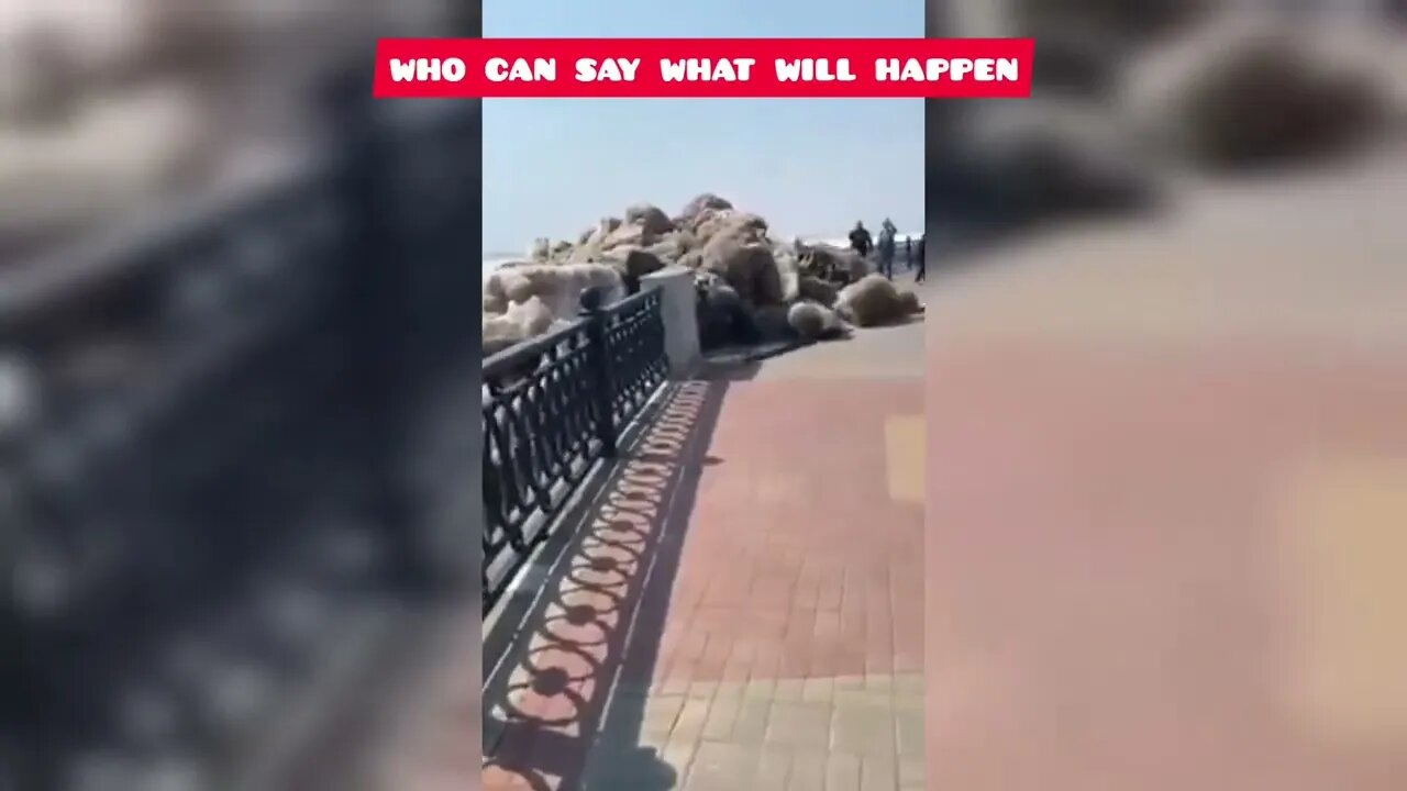 What's going on? who can say what will happen 😮😮