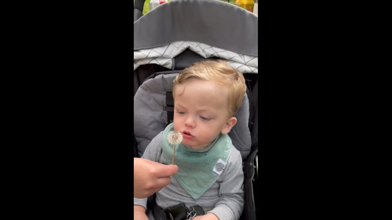 BABY EATS FLOWER