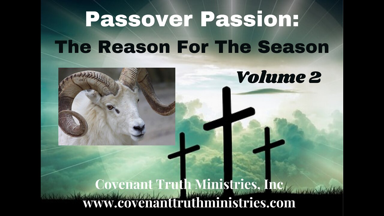 Passover Passion - Volume 2 - Less 13 - Perfection