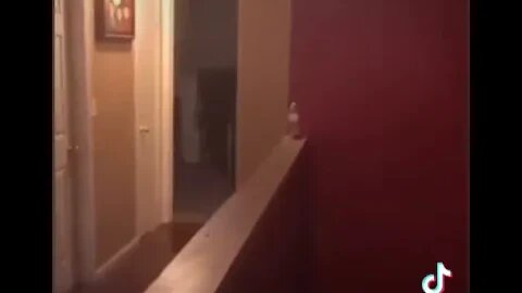 The Shadow in the Hallway