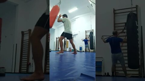 Punch And Elbow The Bag (13)