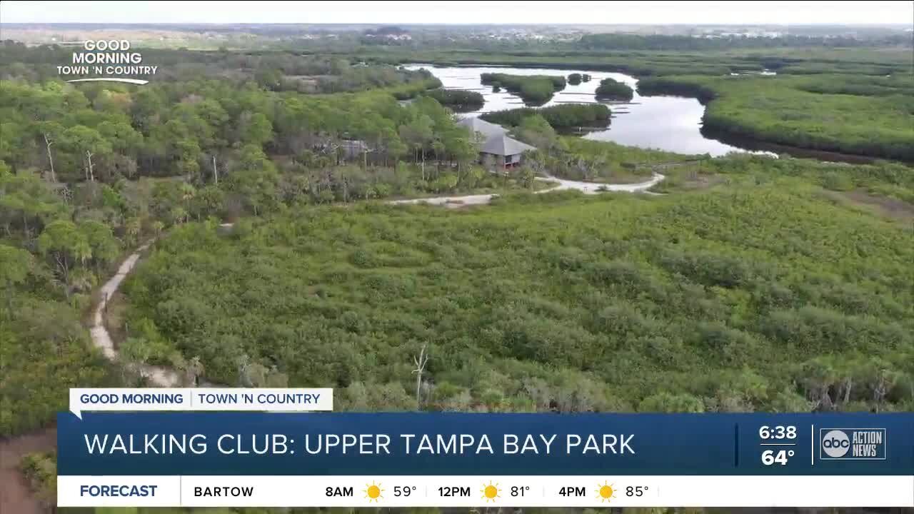 Walking Club: Exploring Upper Tampa Bay Park