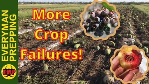 Food Shortages and Crop Failures: Report From South Carolina