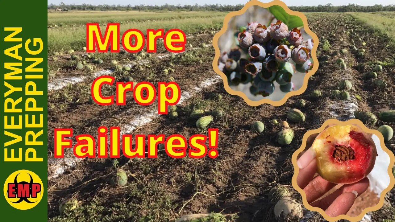 Food Shortages and Crop Failures: Report From South Carolina