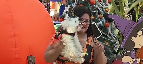 Pumpkin Paws at Opportunity Village