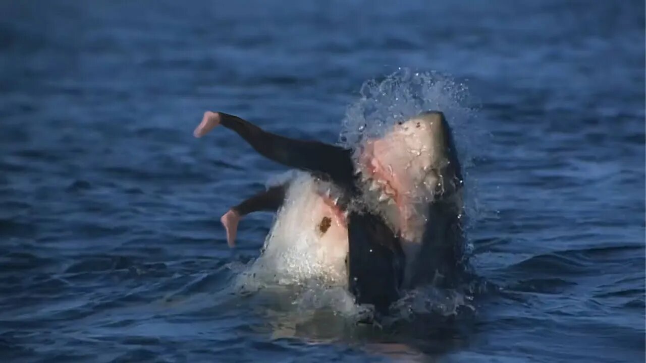 The HORRIFYING Final Moments Of Robert Pamperin: Eaten By A Shark