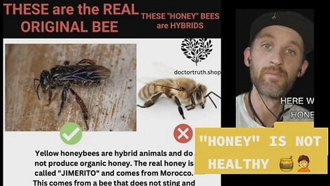 Do you eat Honey? And I mean Any Kind of Honey?