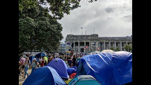 Anti Mandate Protest Wellington New Zealand