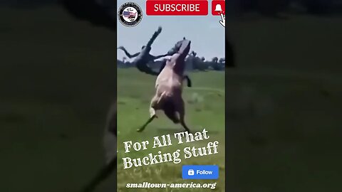 That Just Happened You Won't Believe It # #rodeo #buckingbronc # #youtubeshorts