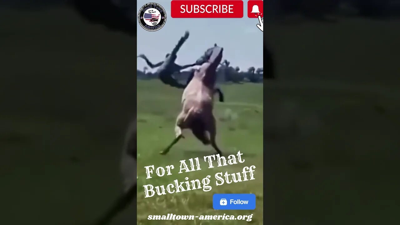 That Just Happened You Won't Believe It # #rodeo #buckingbronc # #youtubeshorts