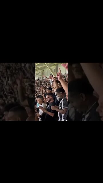 “O Chiqueiro é nosso!” Esculachamos o Porco. #botafogo #brasileirão