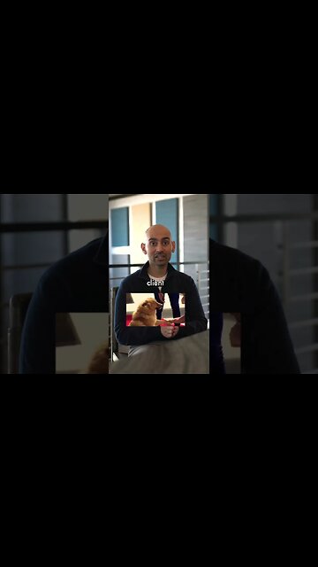 Have you dealt with a client like this?