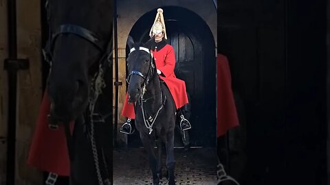 Arnie the tourist hater wants to nip the guard #thekingsguard