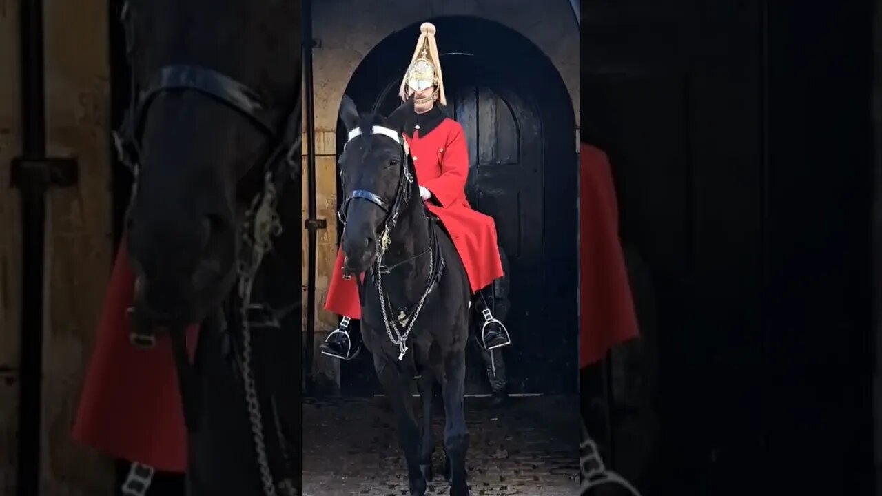 Arnie the tourist hater wants to nip the guard #thekingsguard