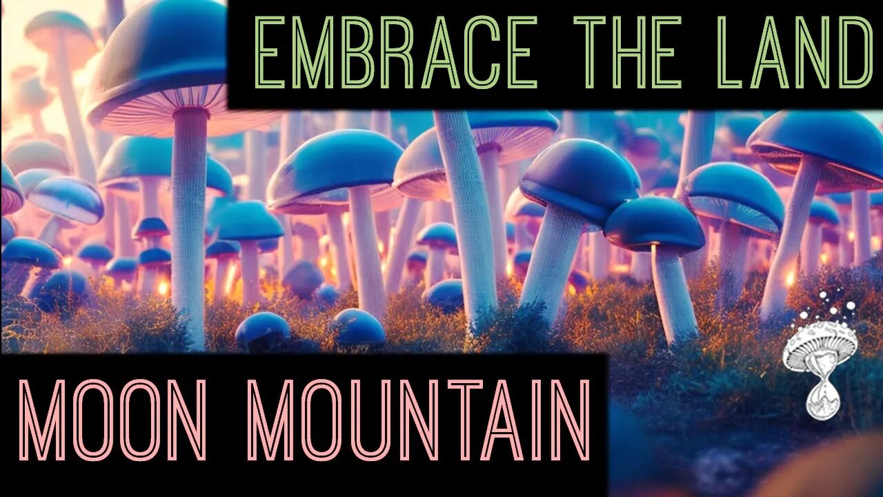 Embracing the Land, Facing Colonialism and Honoring Indigenous Culture || Amber of Moon Mountain